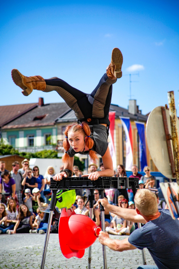 hausi_flo-circus-3664402_1920